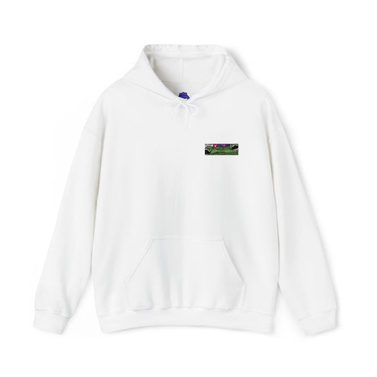 Frog Wizard Embroidered Pull Over Hoodie