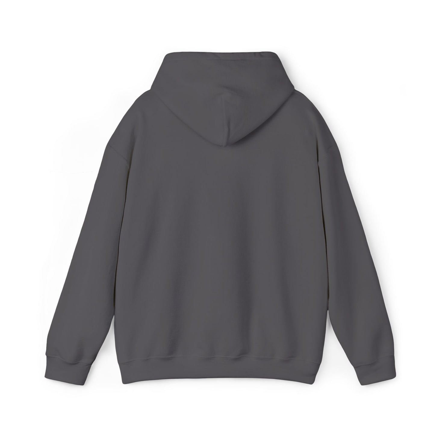 Frog Wizard Embroidered Pull Over Hoodie