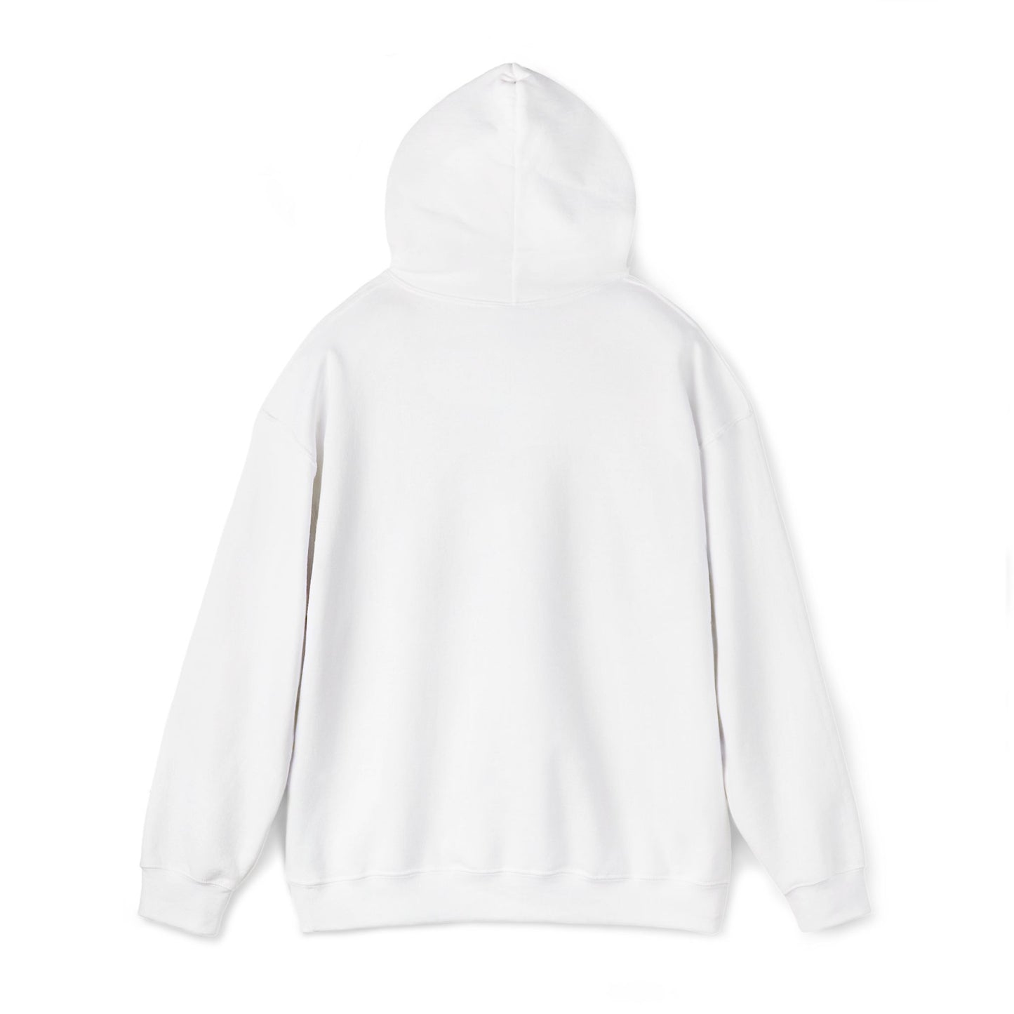 Frog Wizard Embroidered Pull Over Hoodie
