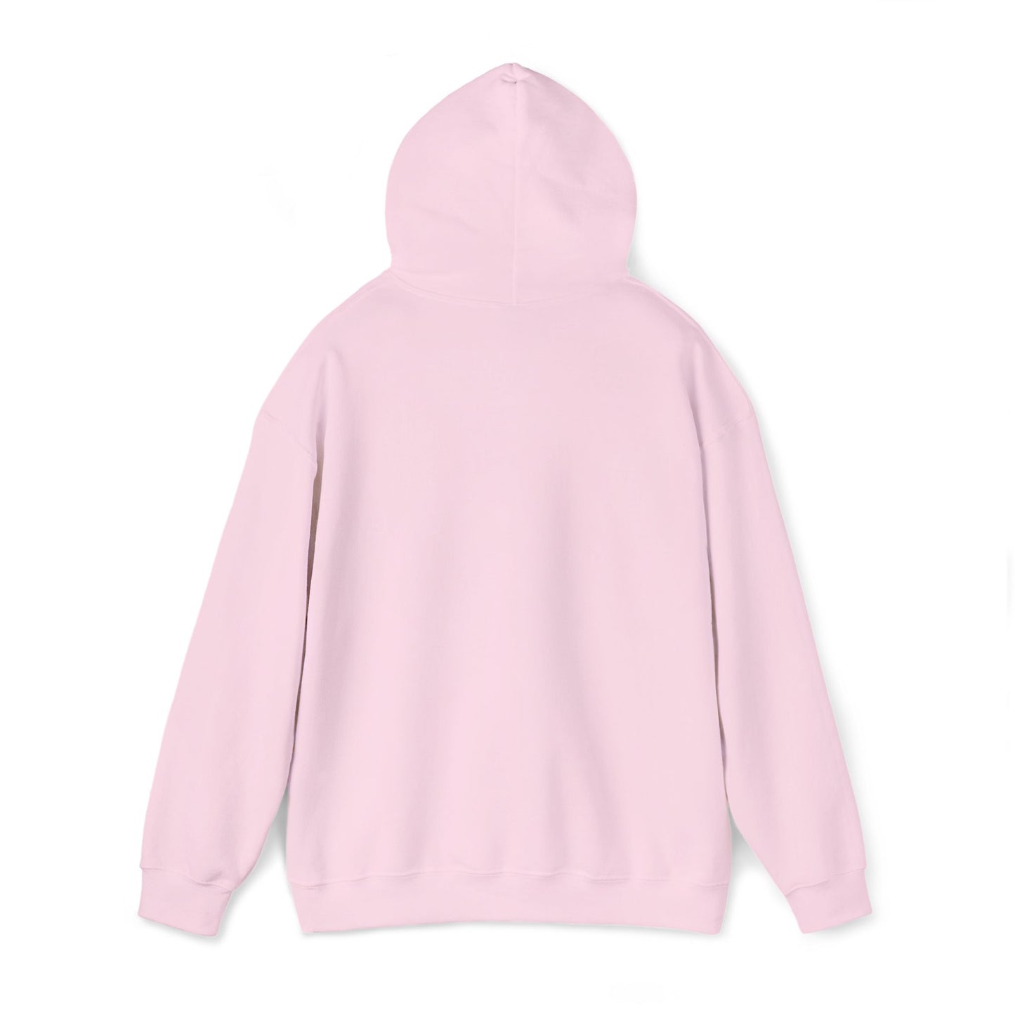 Frog Wizard Embroidered Pull Over Hoodie