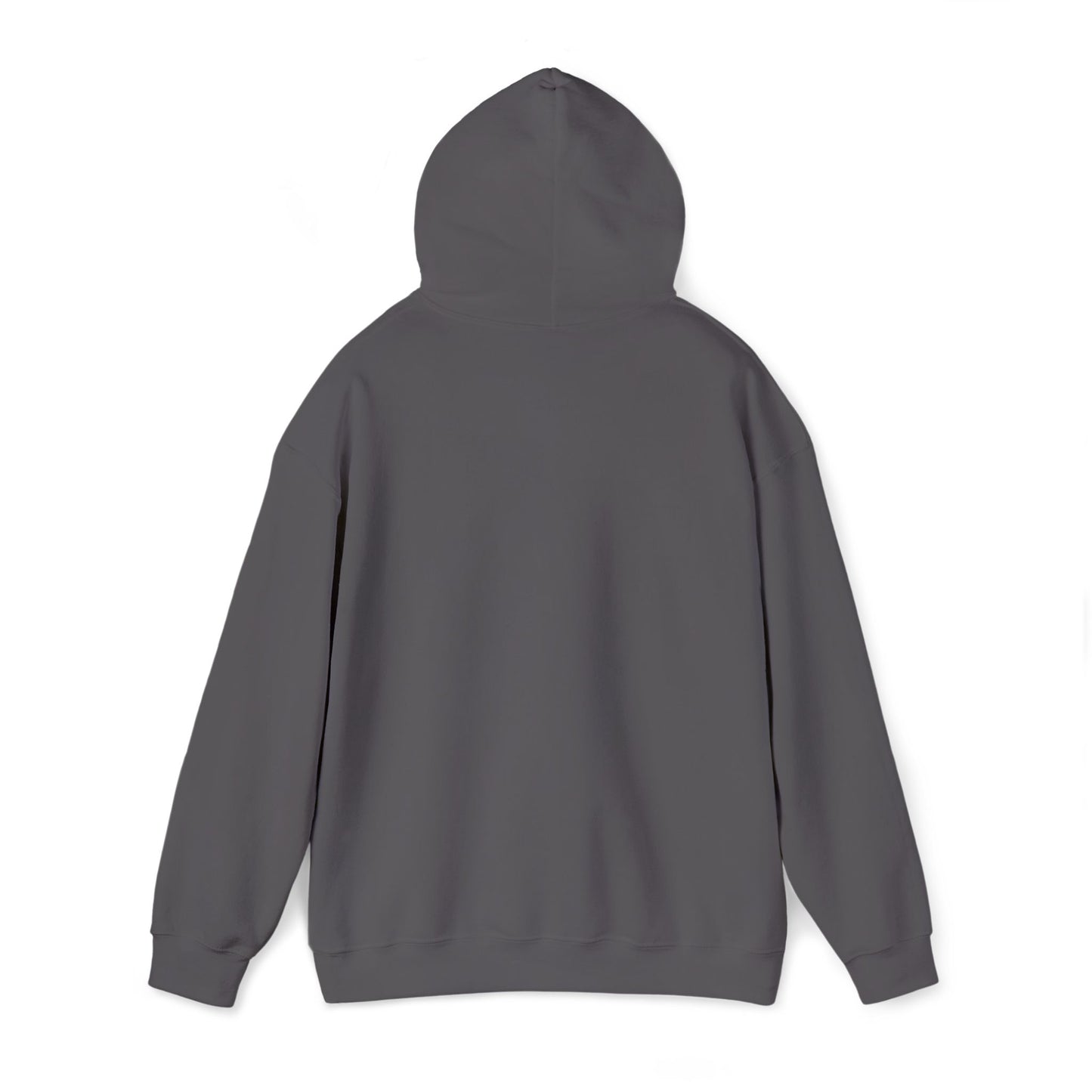 Frog Wizard Embroidered Pull Over Hoodie