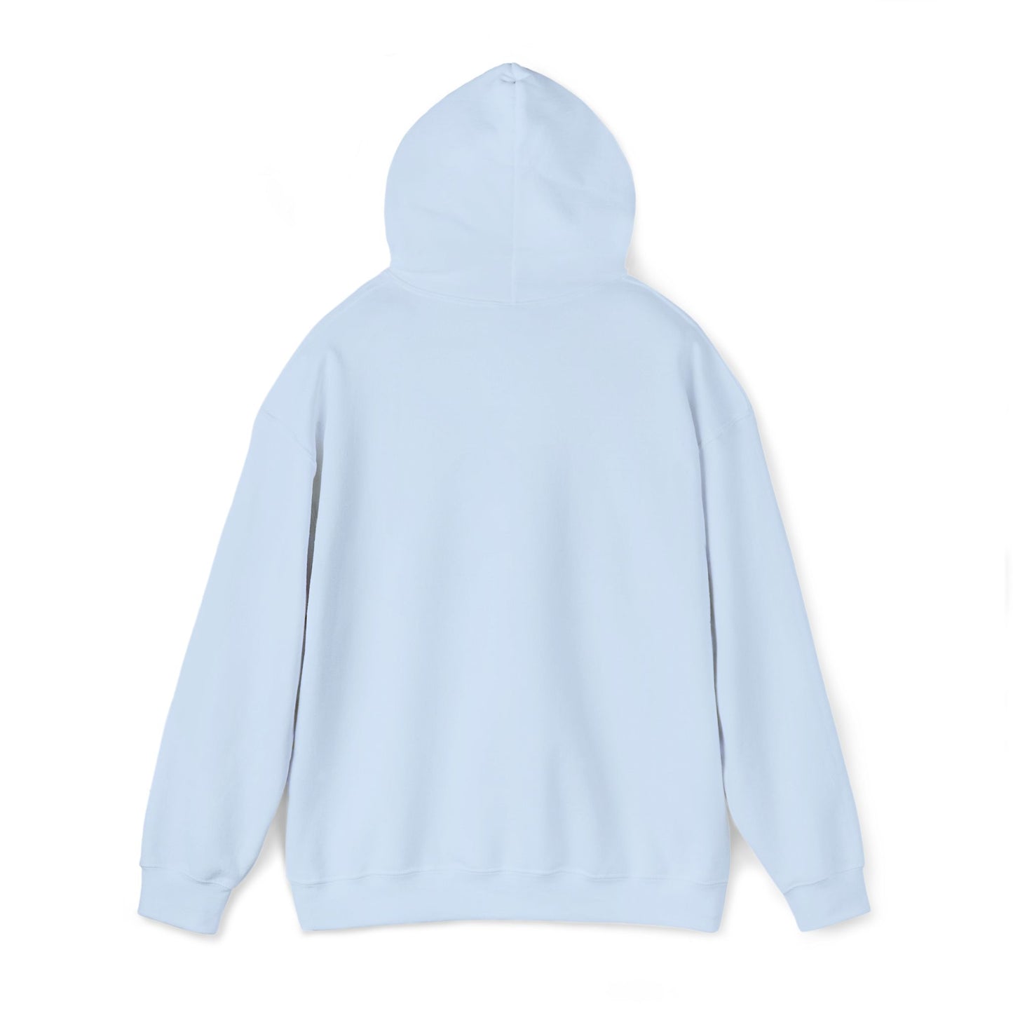 Frog Wizard Embroidered Pull Over Hoodie