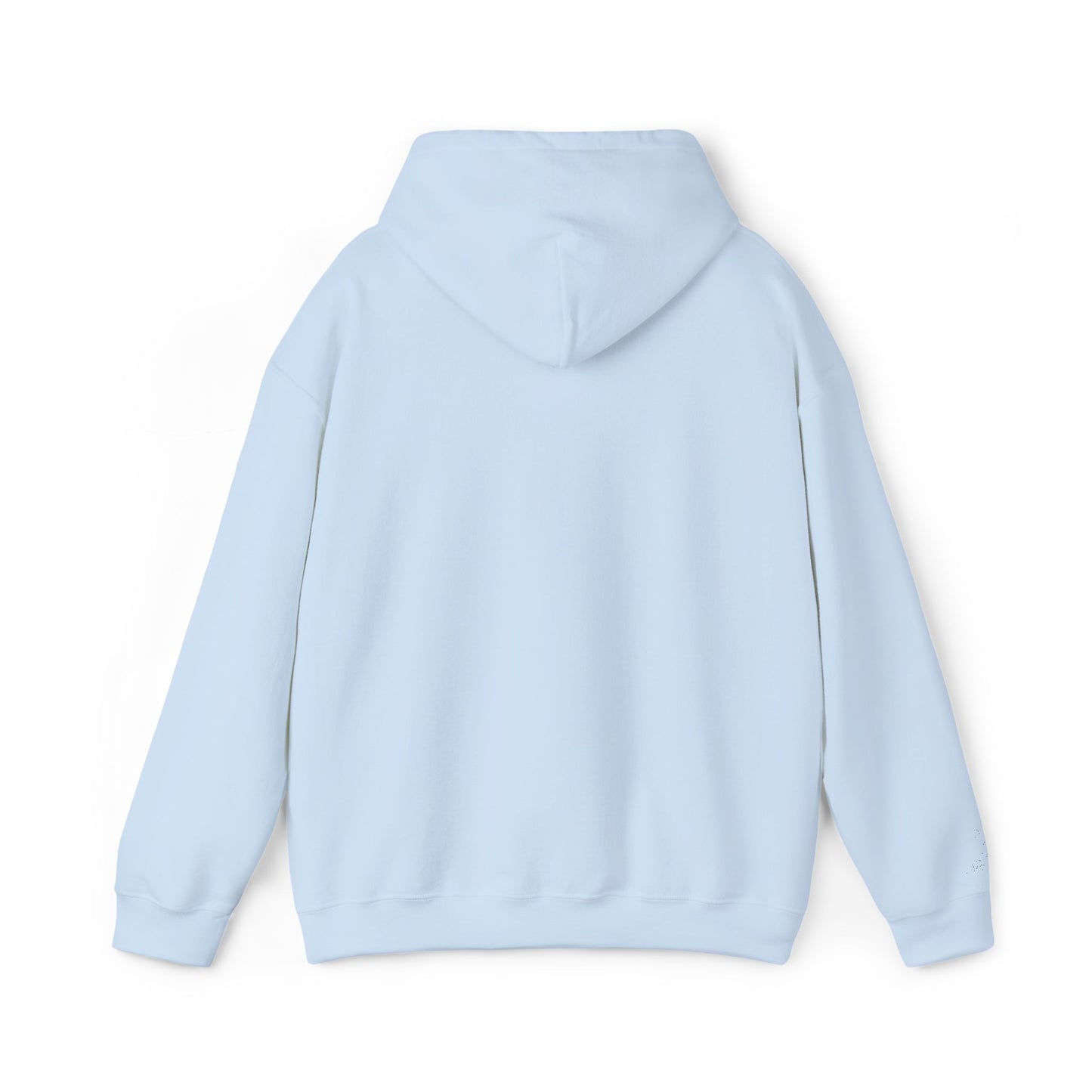 Frog Wizard Embroidered Pull Over Hoodie
