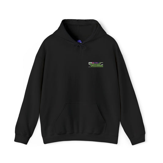 Frog Wizard Embroidered Pull Over Hoodie
