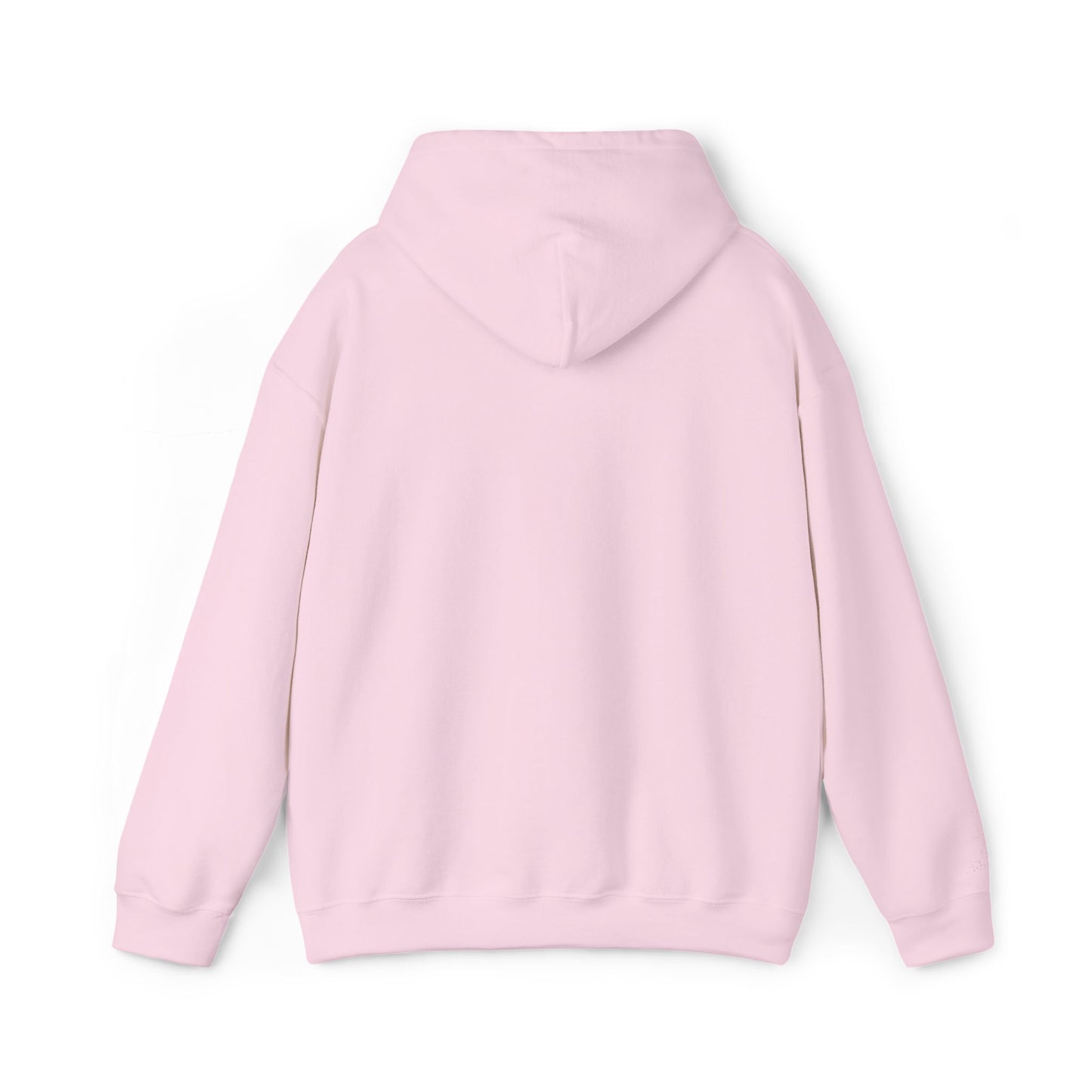 Frog Wizard Embroidered Pull Over Hoodie