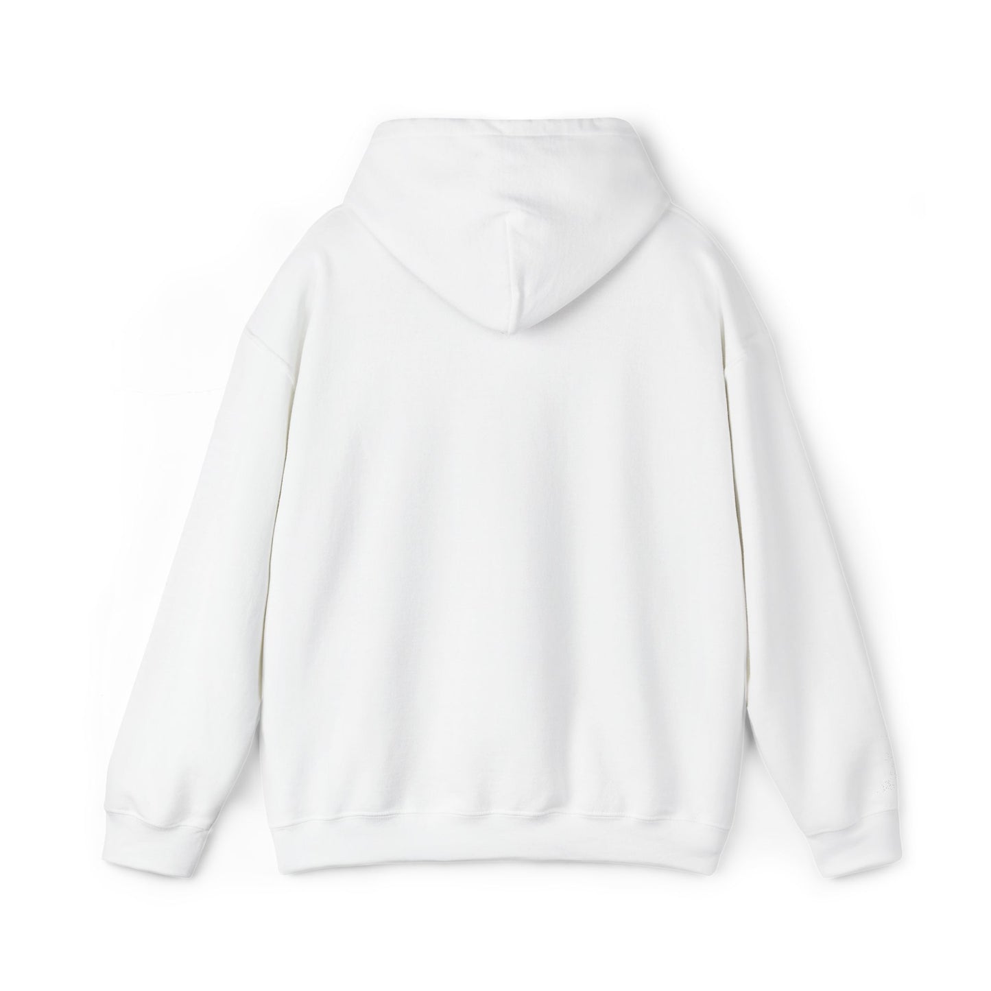 Frog Wizard Embroidered Pull Over Hoodie