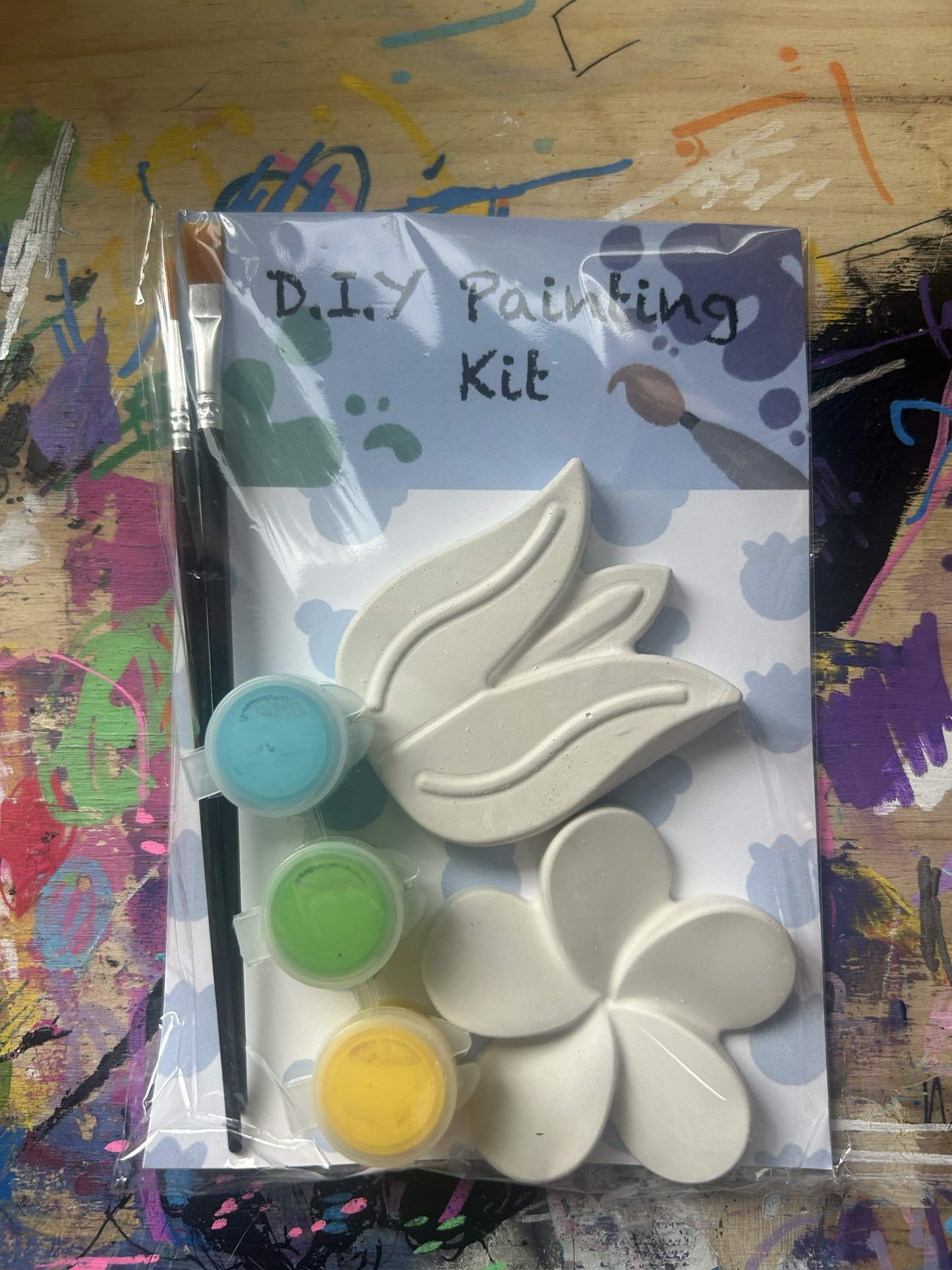 Flower Plaster Painting Kit – DIY Craft Kit for All Ages