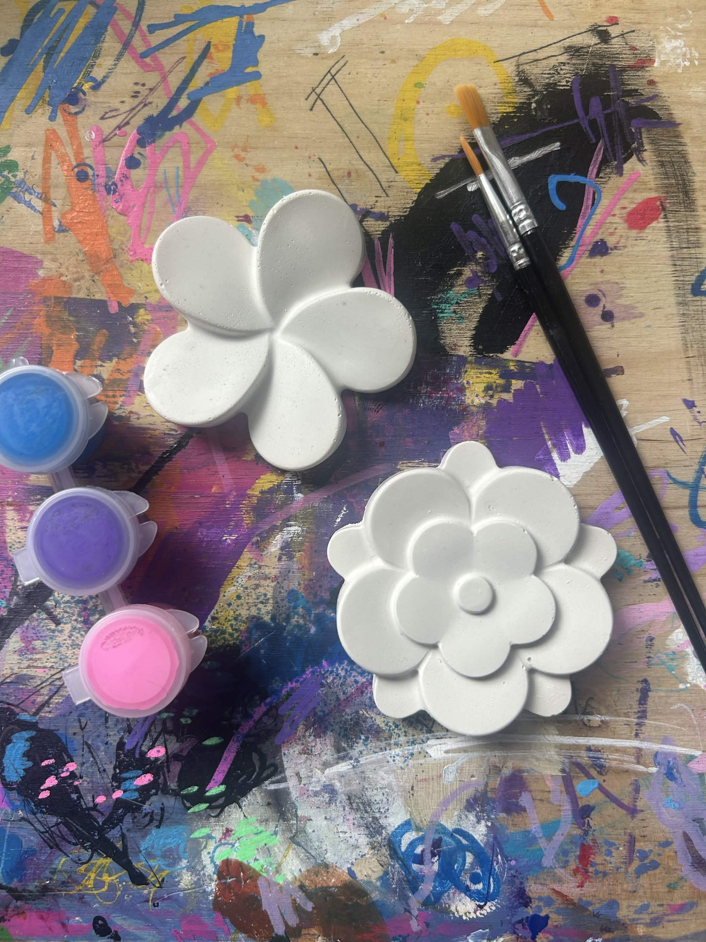 Flower Plaster Painting Kit – DIY Craft Kit for All Ages